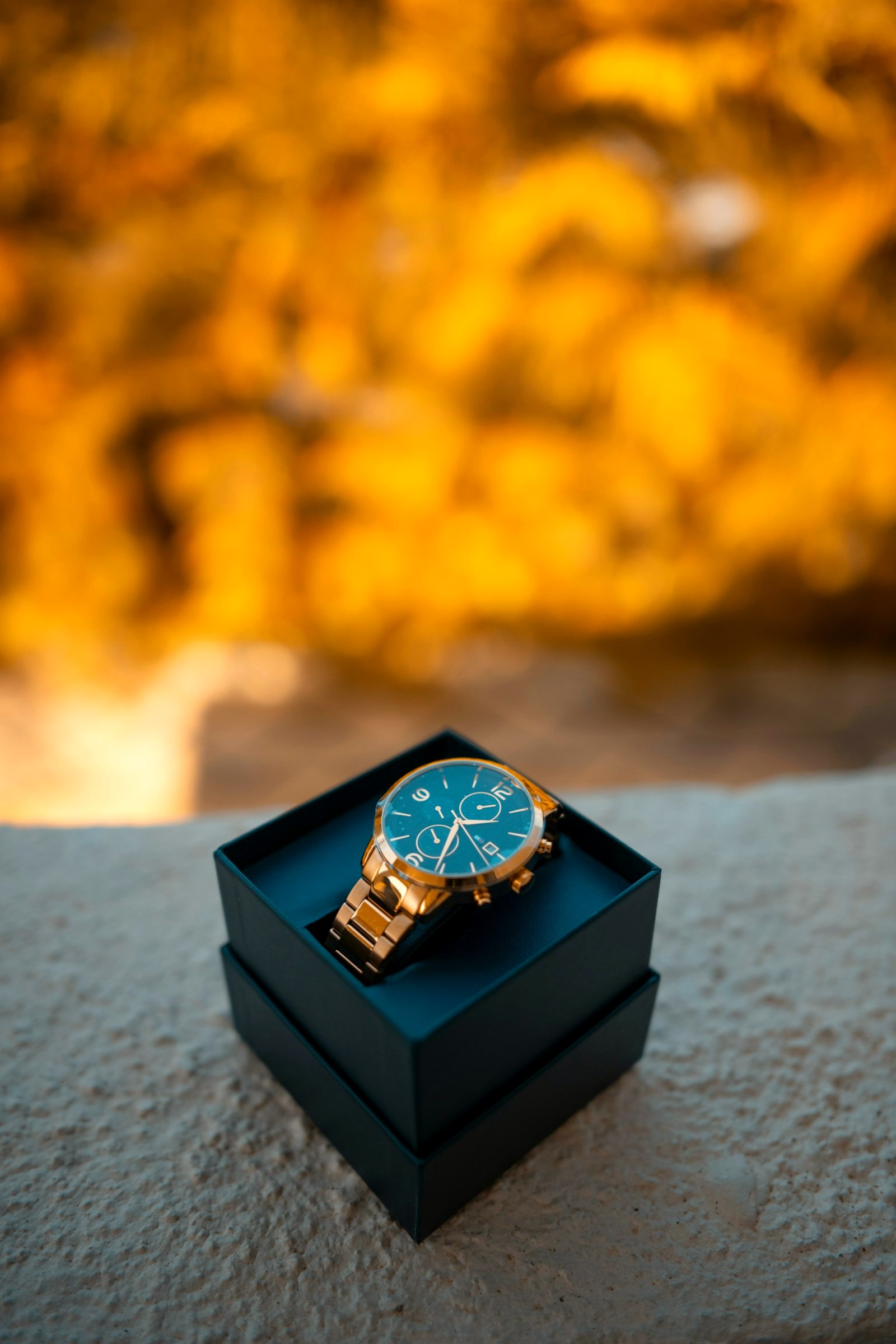 A gold watch resting on its presentation box against soft autumn light