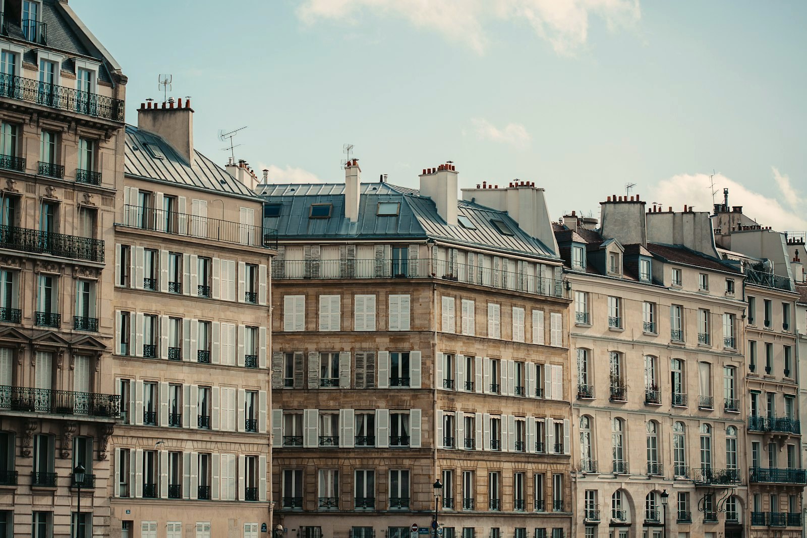 Paris rooftops and shuttered Haussmann facades under a pale sky