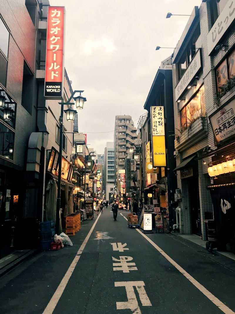 A Tokyo drinking street at dusk, karaoke and izakaya signage lit above the road